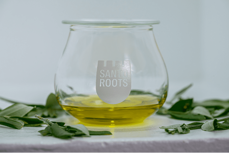 Santorini olive oil tasting at Santo Wines during a wine and olive oil tour with two wineries