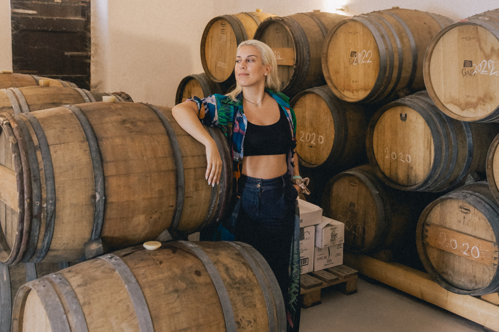 Behind the Scenes at a Santorini Winery — Daytime Tour Go behind the scenes at Santorini's acclaimed Gaia Winery on our private Daytime Wine Tour — explore the barrel cellar, understand the ageing process, and taste wines that carry the soul of the island's volcanic landscape.