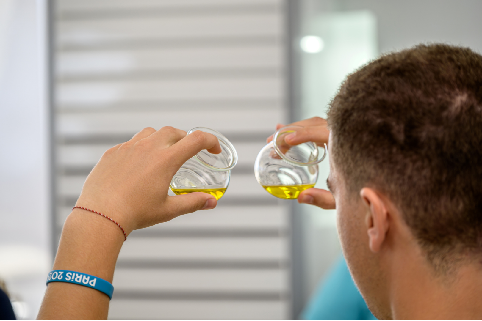 Comparing Olive Oil Varieties – Santo Roots Tasting Experience Santorini Guest holding two glass cups of golden extra virgin olive oil side by side to compare varieties during an olive oil tasting in Santorini.