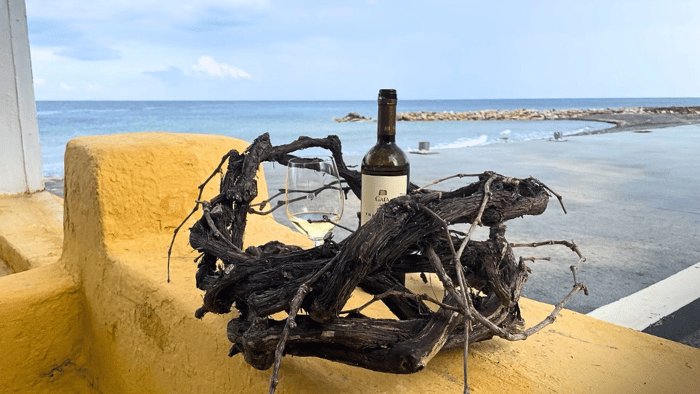 Santorini wine bottle and glass next to ancient vine wood by the sea, highlighting the island’s volcanic vineyards and wine heritage
