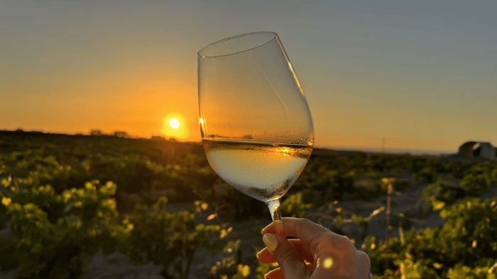 White wine glass held in a Santorini vineyard at sunset during a wine tour.