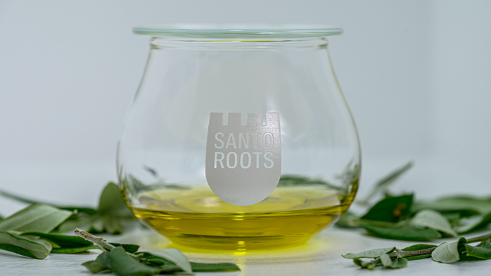 Santorini Roots olive oil tasting glass with fresh olive leaves